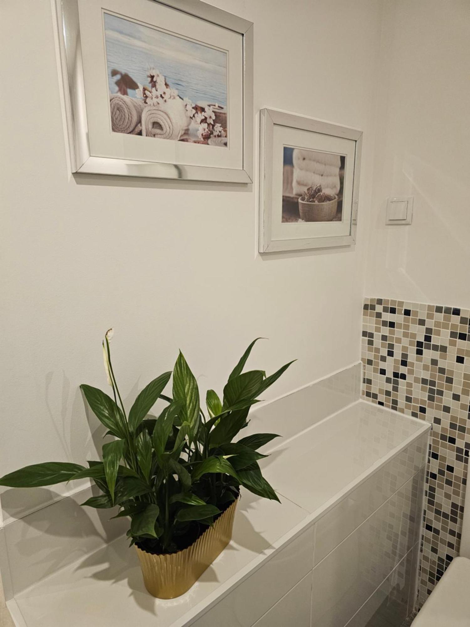 Alfama Secret Διαμέρισμα Lisboa Εξωτερικό φωτογραφία